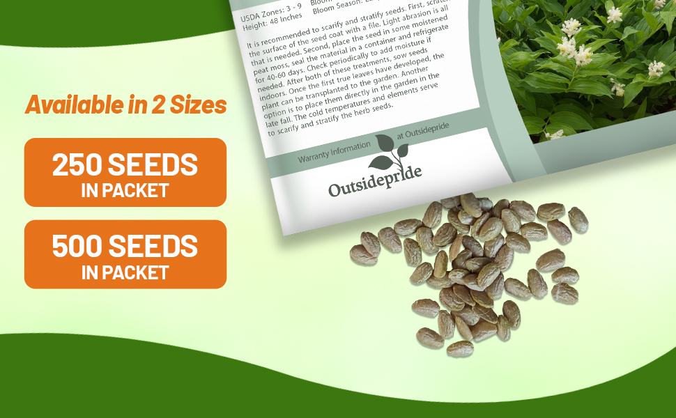 American Spikenard Seed Packet For Sale