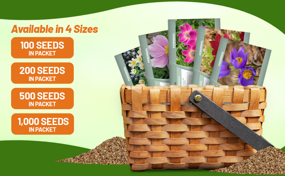 Anenome Flower Seed Packets For Sale