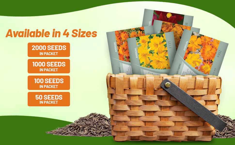 Cosmos Sulphureus Flower Seed Packets for Planting