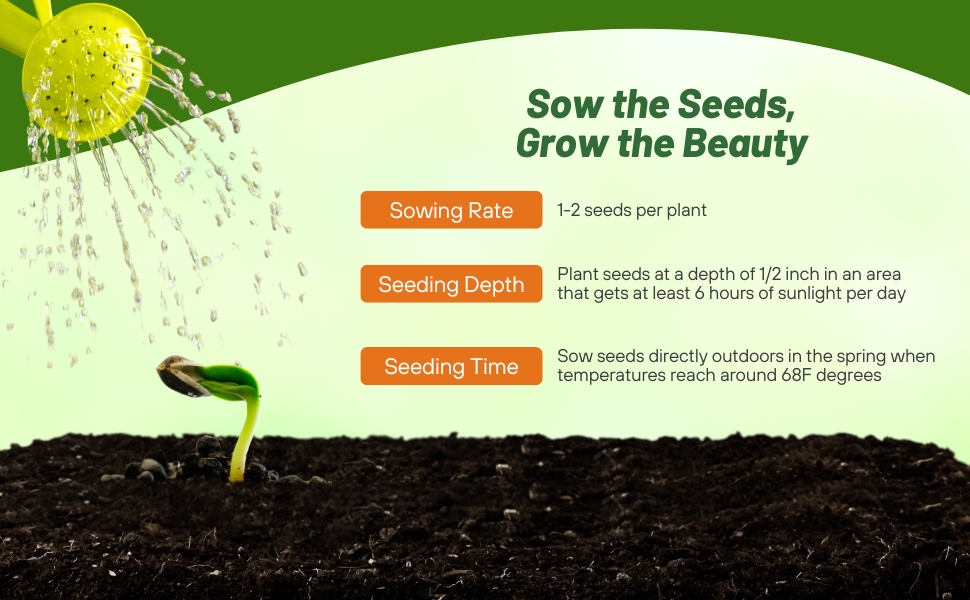 Seeding Rate & Planting Time For Scarlet Nasturtium Flowers