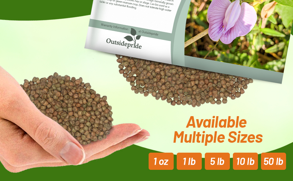 Austrian Winter Peas Cover Crop Bulk Seed For Sale
