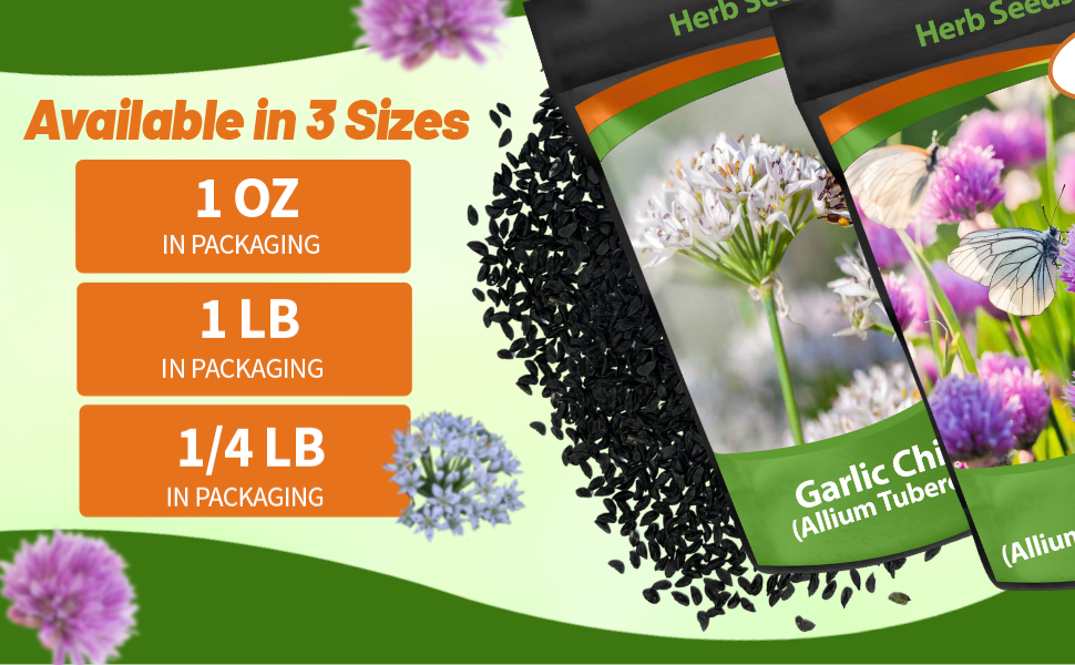 Allium Chives Seed Packets For Sale