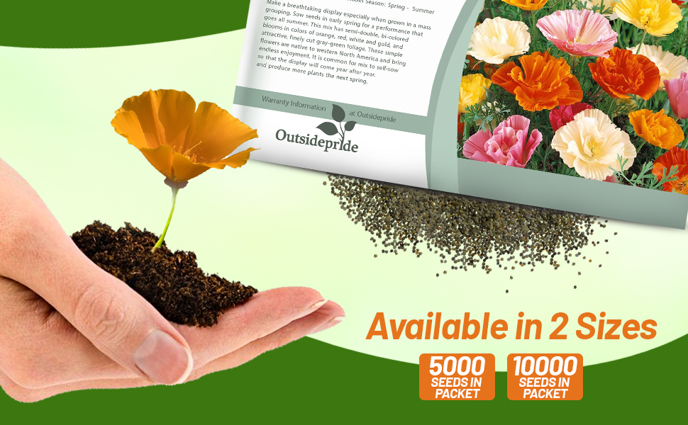 Bulk California Poppy MIssion Bells Wildflower Seed Mixture Pound