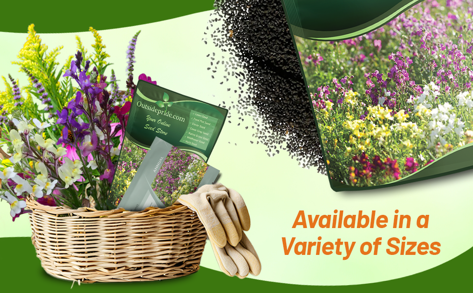 Toadflax Seed Packed & Bulk Bag Flower Seeds For Planting