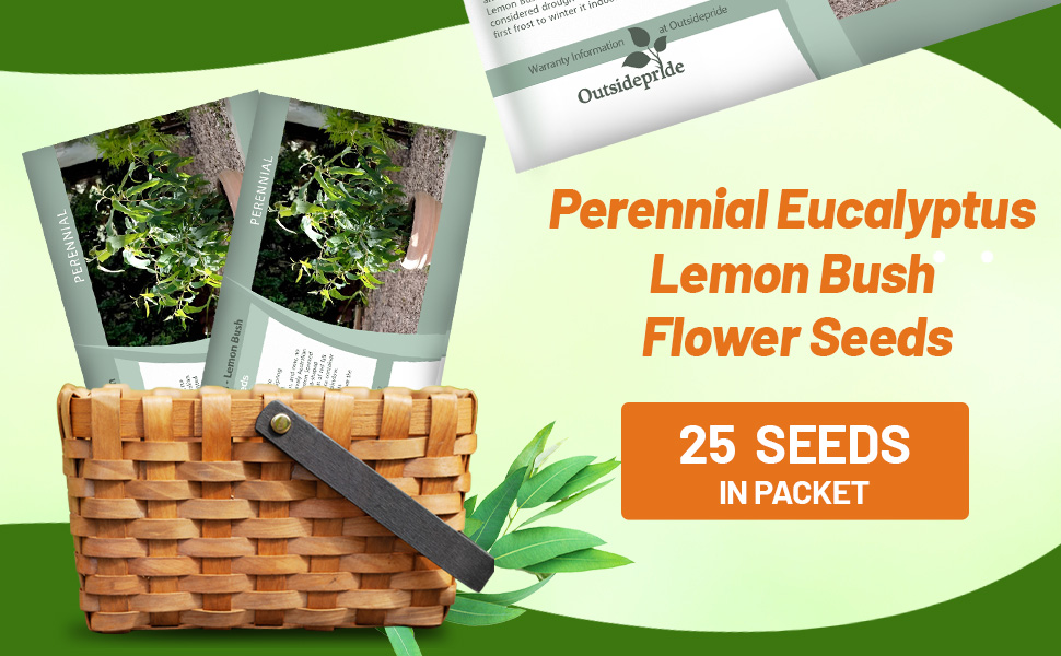 Eucalyptus Seed Packet For Sale