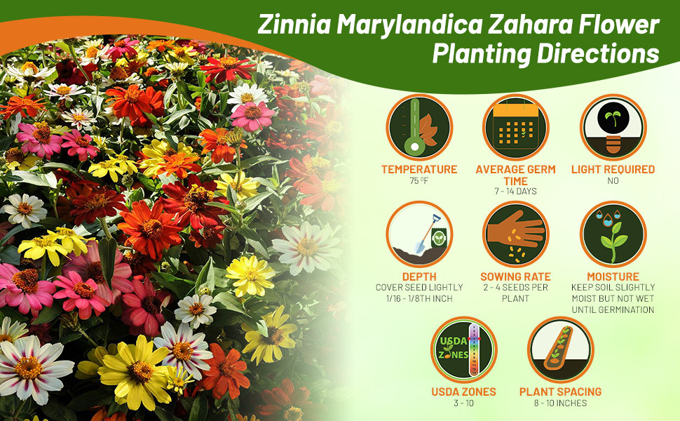 Planting Directions for Zinnia Zahara Flower Seed Mix