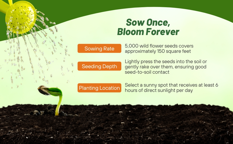 Planting Directions For Everlasting Flower Seeds