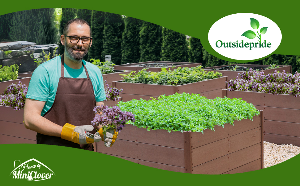 Oregano Herb Garden in Raised Beds