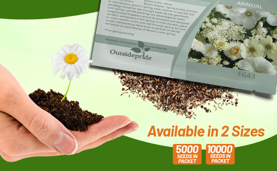 White Wildflower Seed Packet For Planting