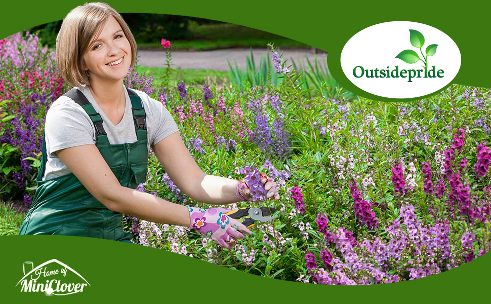 Women Caring For Angelonia Flower Garden