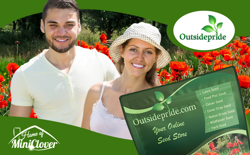 Papaver Red Poppy Flower Garden & Seed Bag