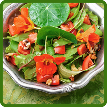 Edible Flowers & Leaves Tropaeolum Majus Double Gleam