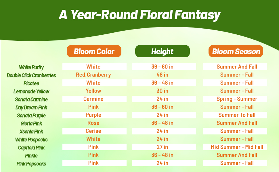 Bloom Season, Color, & Height Chart For Cosmos Flowers