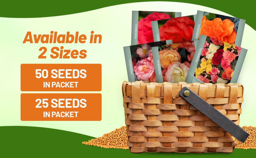 Limitless Begonia Seed Packets For Sale