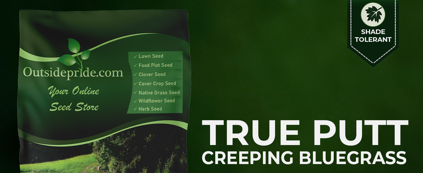 True Putt