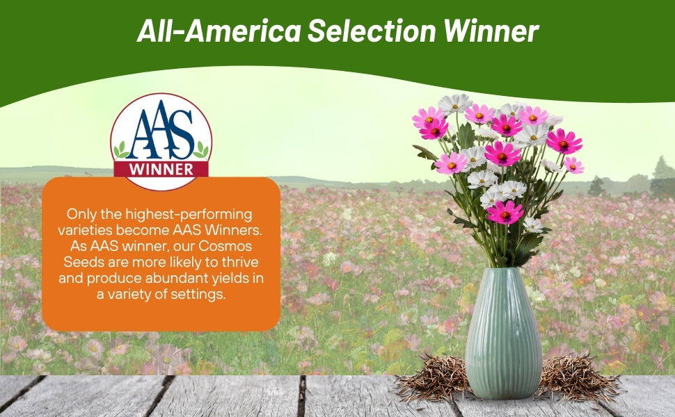 Cosmos Bipinnatus Sensation Mixture All American Selection Winner