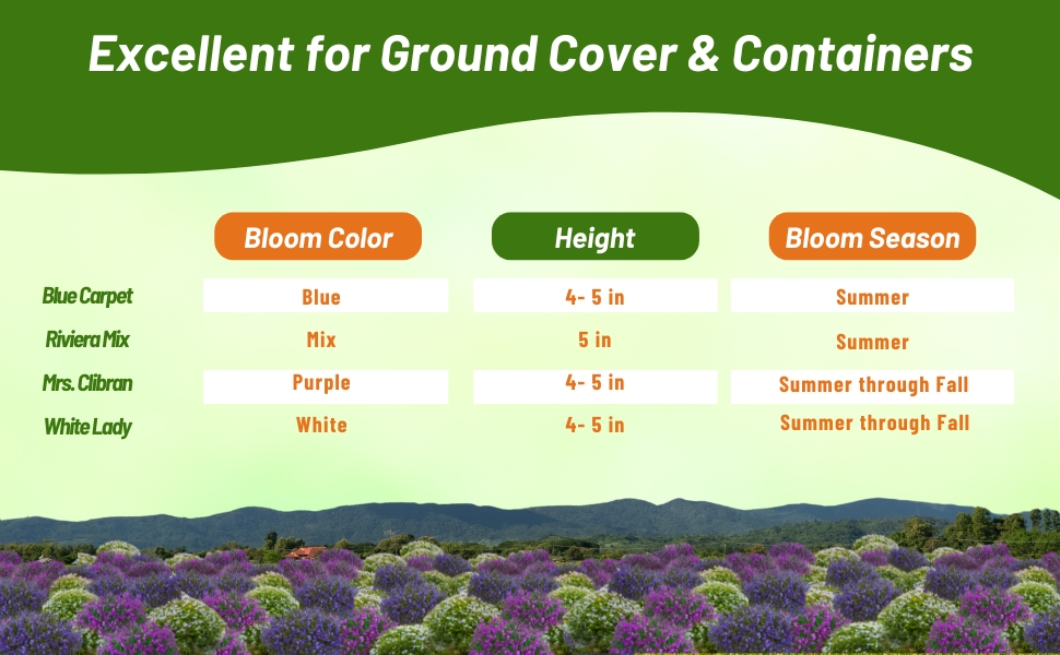 Bloom Season, Color, & Height Chart of Lobelia Plants