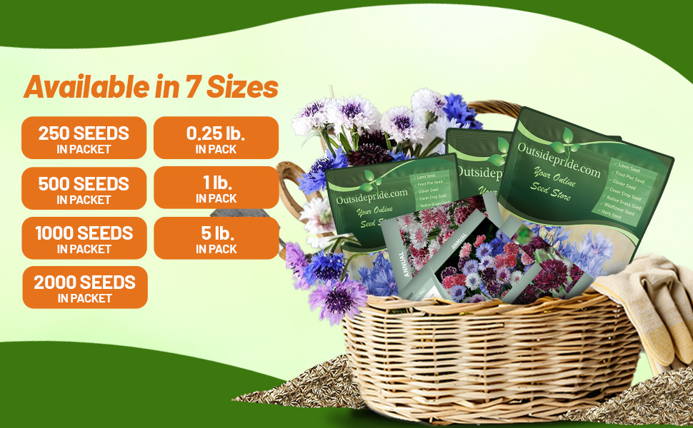 Annual Cornflower Flower Seed Packets For Planting