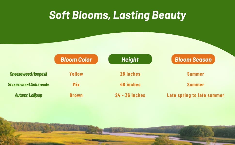 Bloom Color, Season, & Height Chart of Helenium Plants