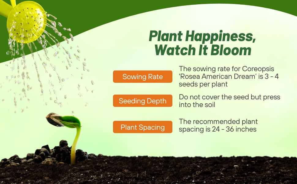 Planting Directions For Coreopsis Rosea American Dream Flower Seeds