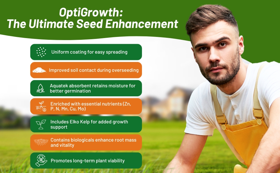 OptiGrowth Coated Hard Fescue Lawn Grass Seed