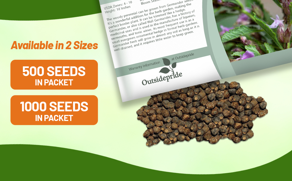 Germander Herb Seed Packet