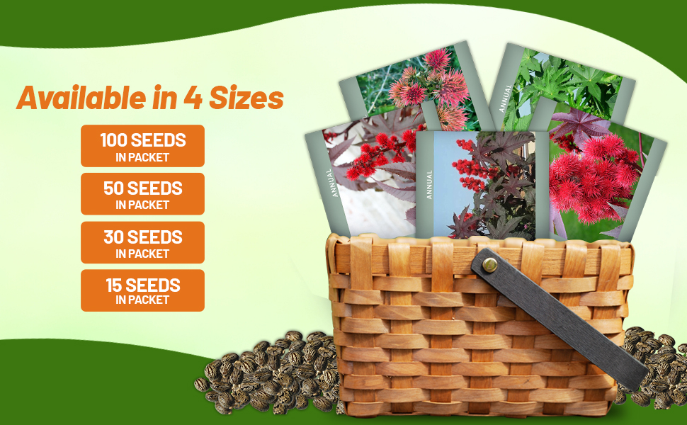 Castor Bean Seed Packets For Sale