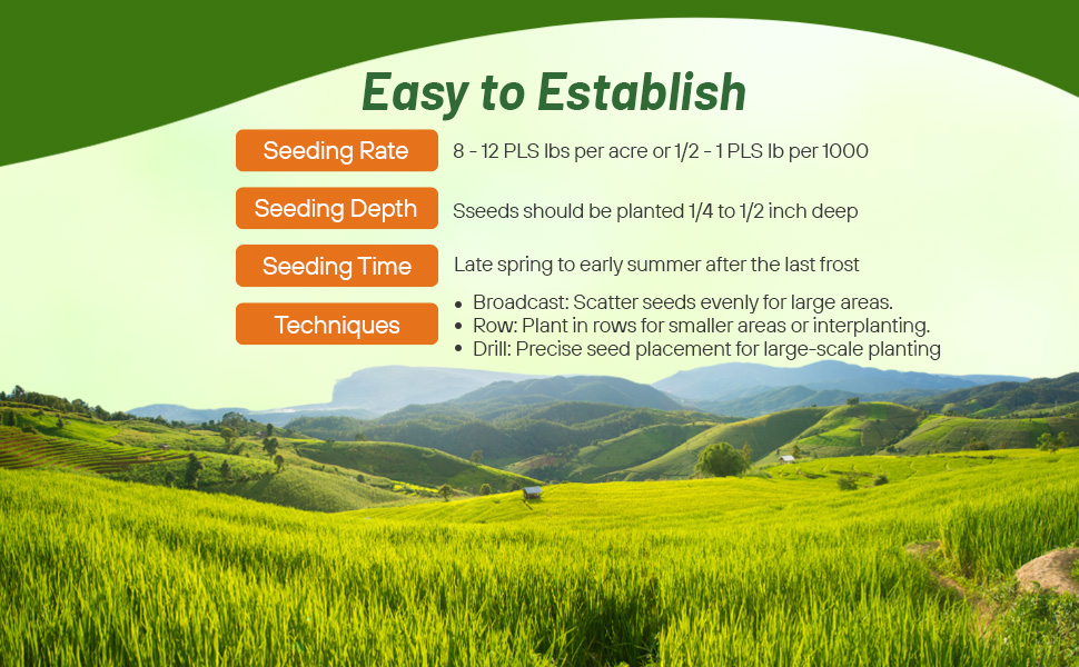 Planting Directions For Sideoats Grama Native Grass