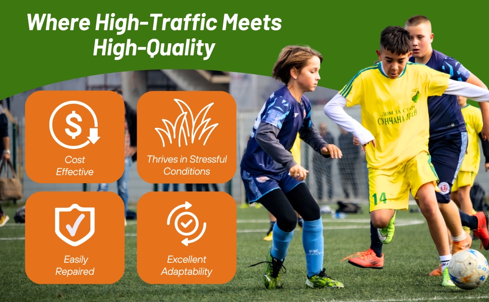 Wear Tolerant & High Traffic Tolerant Monaco Bermuda Sports Field Seeds
