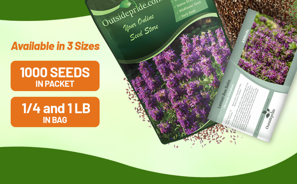 Monarda Lemon Bee Balm Flower Seed Packets For Planting