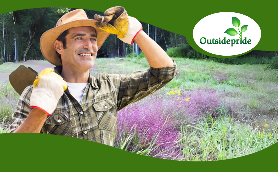 Eragrostis Love Ornamental Grasses For Planting