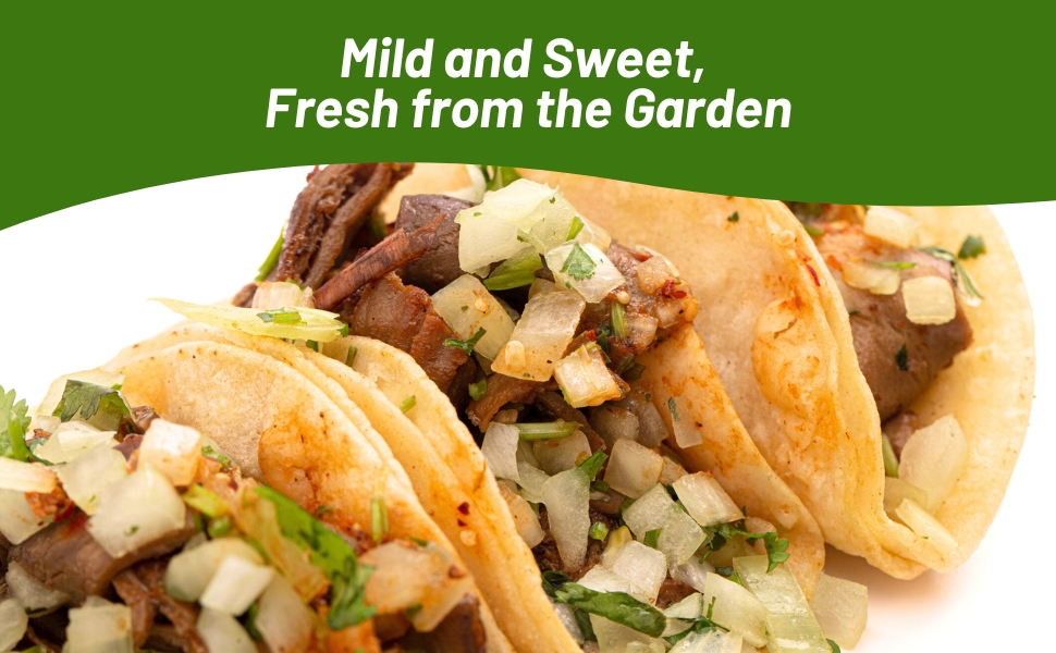 MIld & Sweet Onion Gourmet Dish