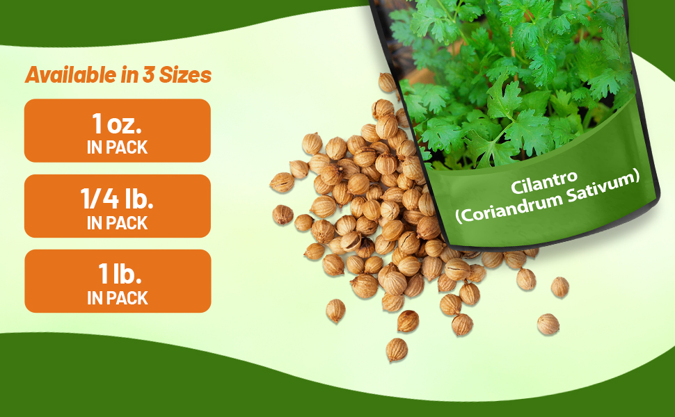 Cilantro Seed Bag For Sale
