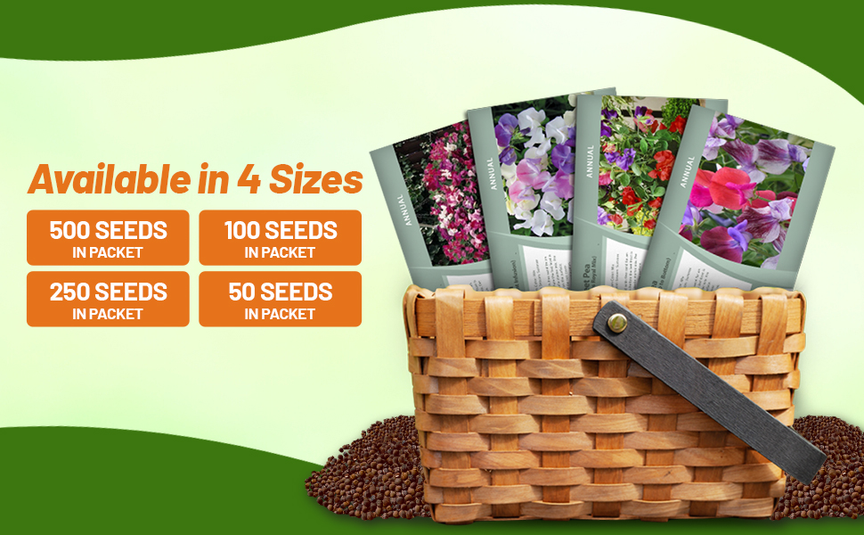 Sweet Pea Flower Seed Packet Mixtures For Planting