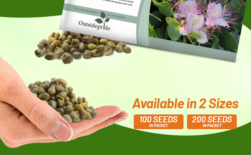 Caper Bush Seed Packets