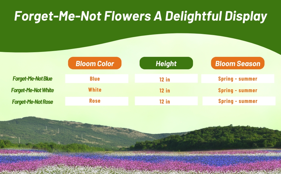 Bloom Season, Color, & Height Chart of Myosotis alpestris Forget Me Not