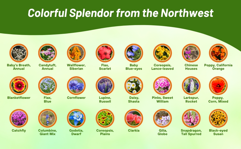 Flower Varieties in Northwest Wildflower Seed Mixture