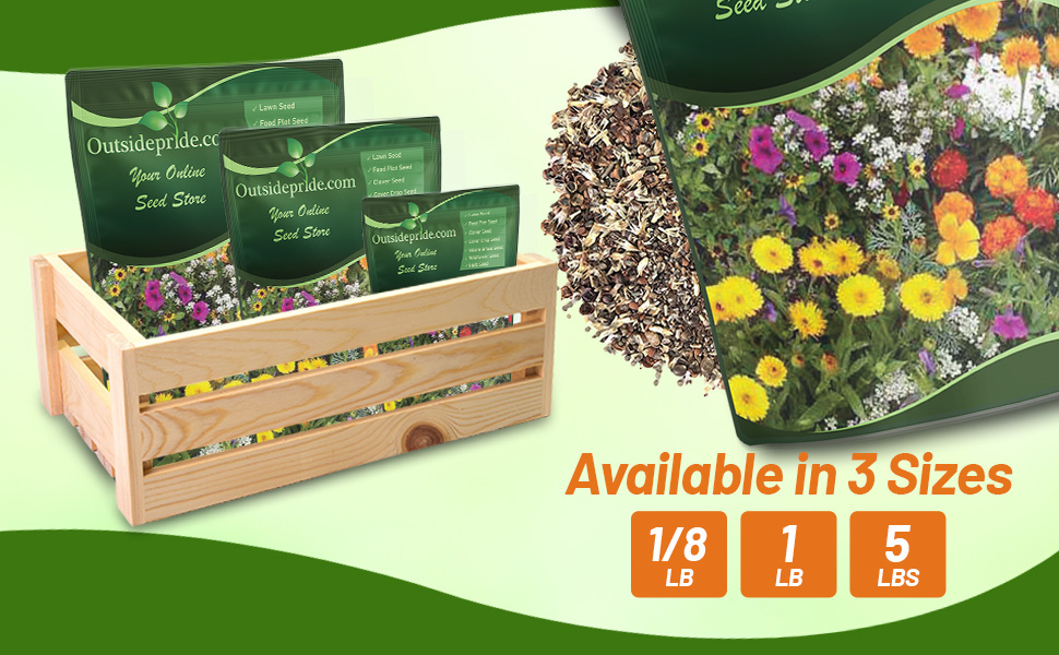 Annual Short Sunburst Wildflower Seed Bags For Planting