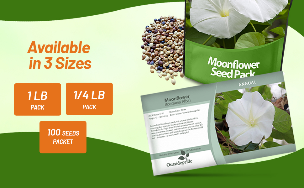 Ipomoea Alba Moonflower Seed Packet
