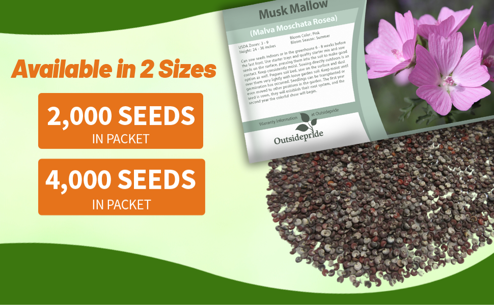 Malva Musk Mallow Rosea Seed Packet For Sale