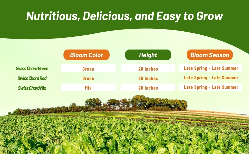 Swiss Chard Bloom Season, Color, & Height Chart