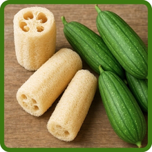 Luffa Natural Sponge Producer