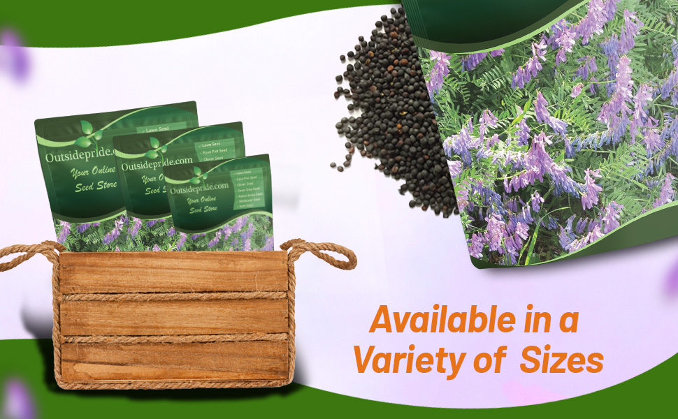 Inoculated Bulk Hairy Vetch Seed Bags For Planting