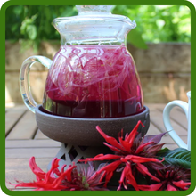 Cup of Monarda Didyma Bee Balm Mix Cut Flowers
