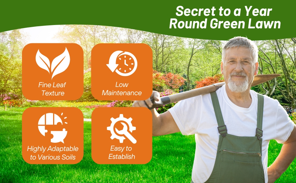 Year Round Green Fine Fescue Lawn Grass Seed