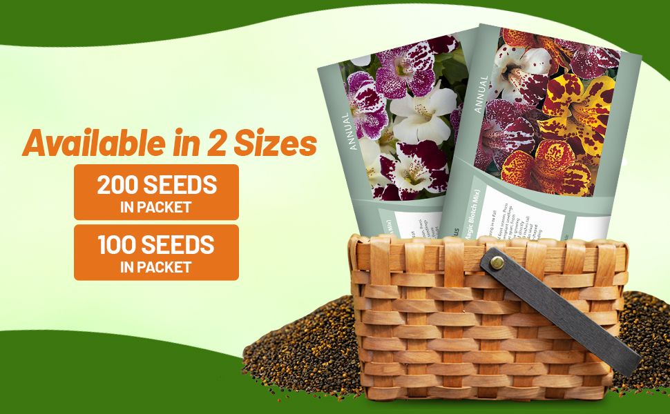 Mimulus Flower Seeds Packets For Planting