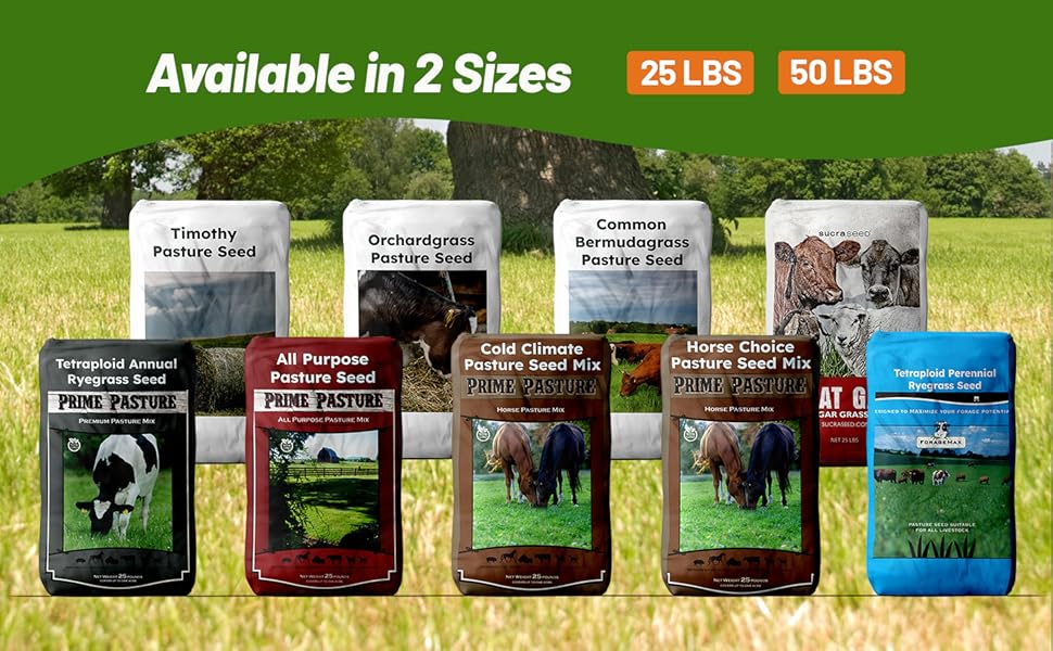 Outsidepride Pasture Grass Seed Options