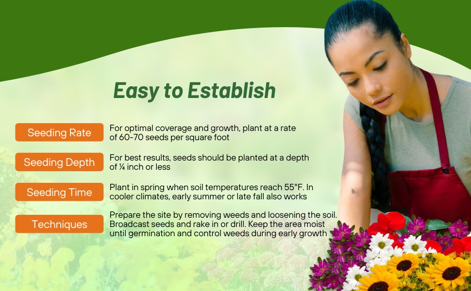 Planting Directions For MIdwest Wildflower Seed Mix