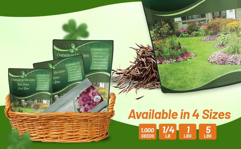 Bulk Cosmos Bipinnatus Sensation Flower Seed Bag For Sale