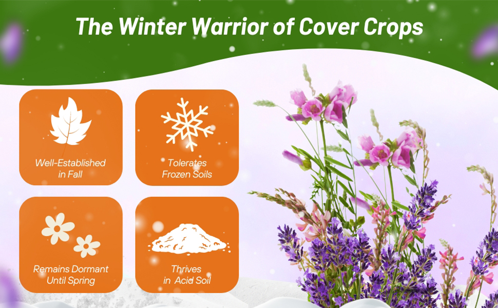 Hairy Vetch Winter Cover Crop